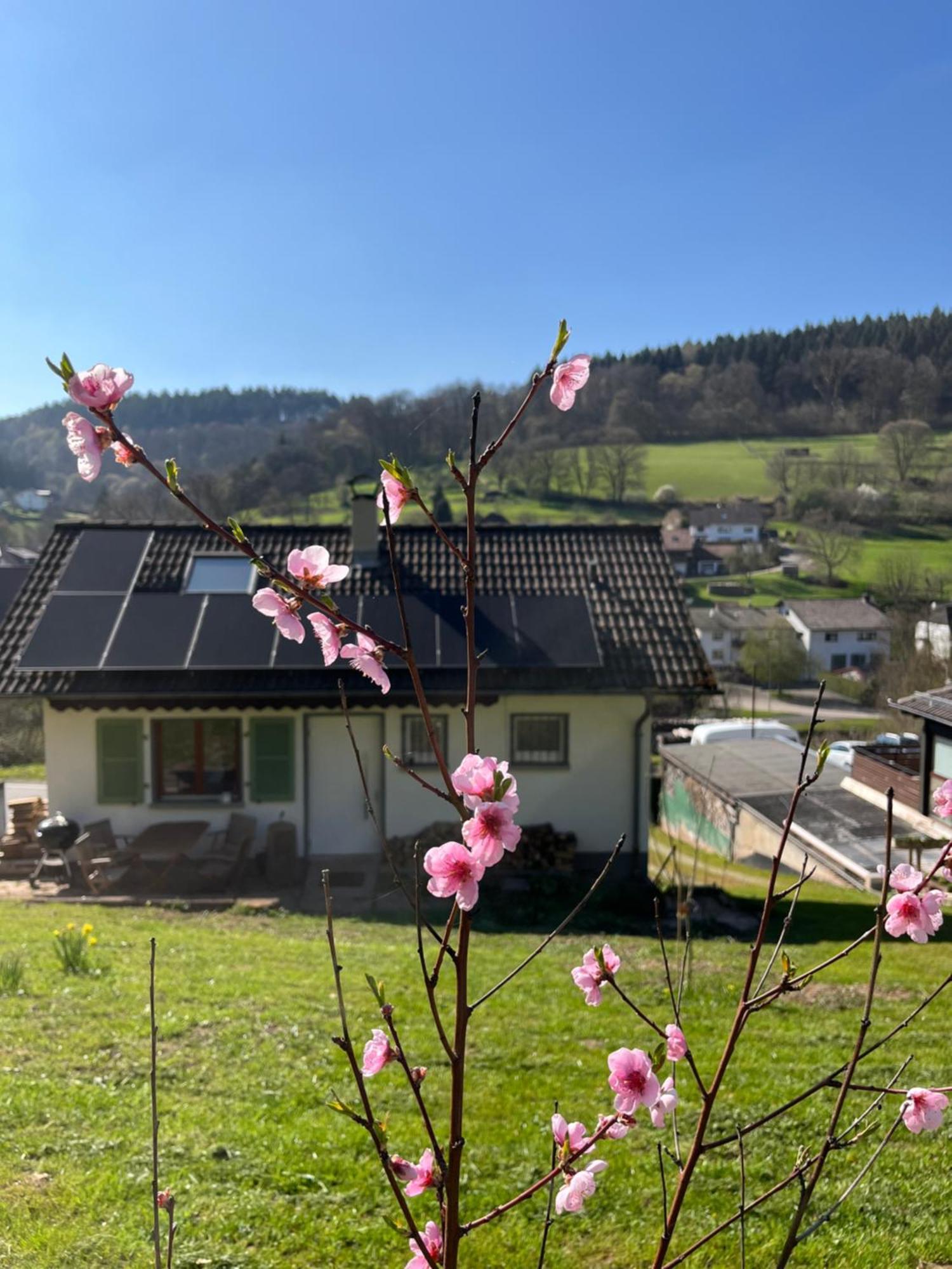 Ferienhaeusel Allemuehl Schonbrunn  Dış mekan fotoğraf